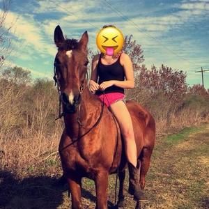 Meet your Posher, Jon